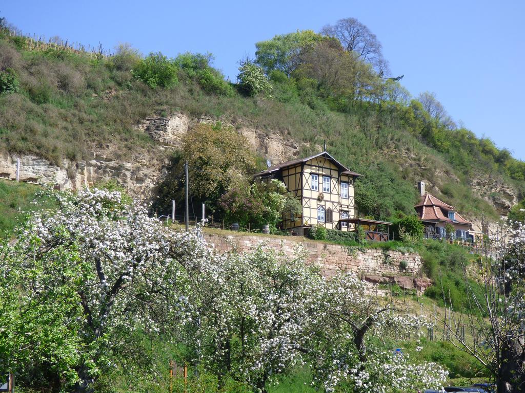 Partzsch Apartment Wethau Dış mekan fotoğraf